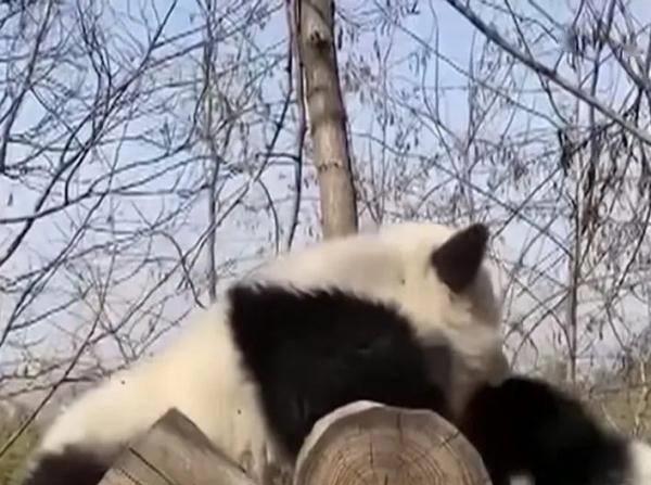 看！这是我们的终南山