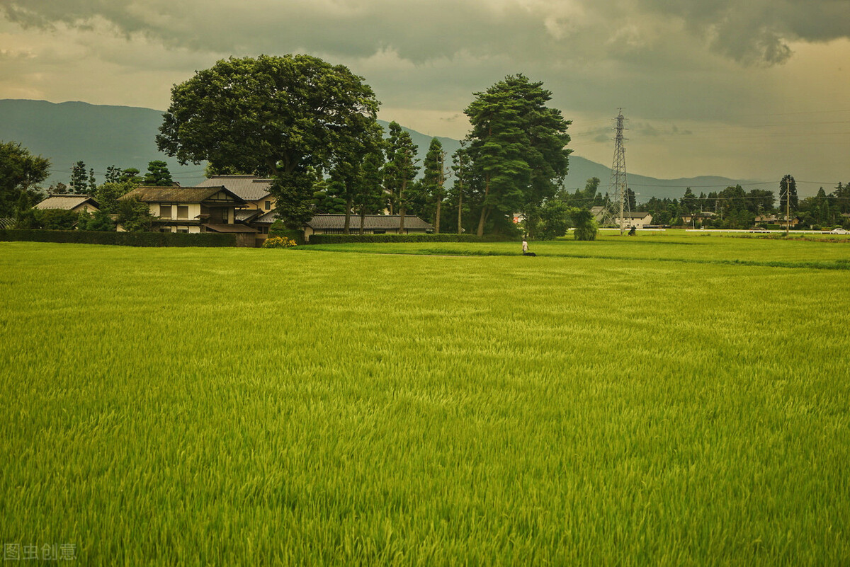 江户风味人间——读《一个单身赴任下级武士的江户日记》