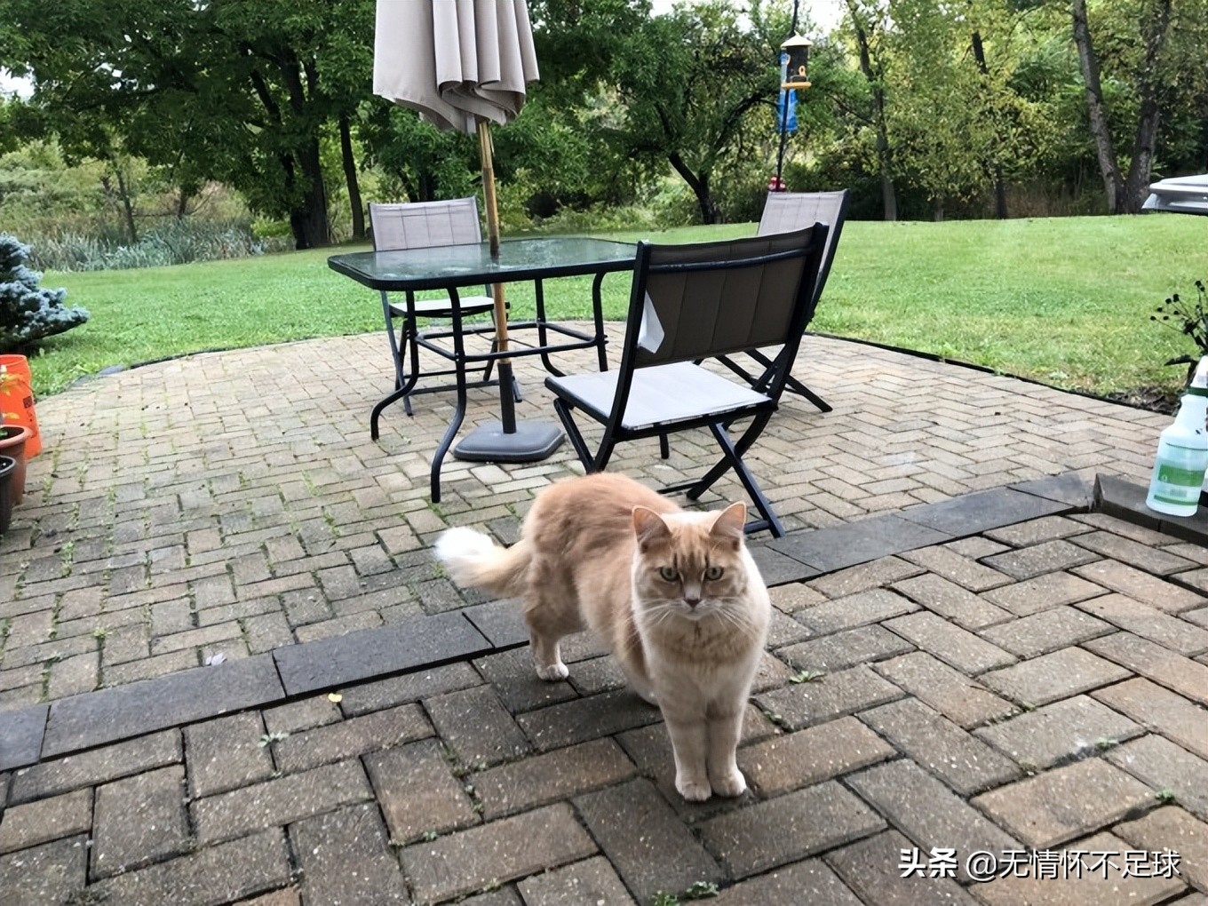 美国纽约东部游介绍,美国东部旅游感受