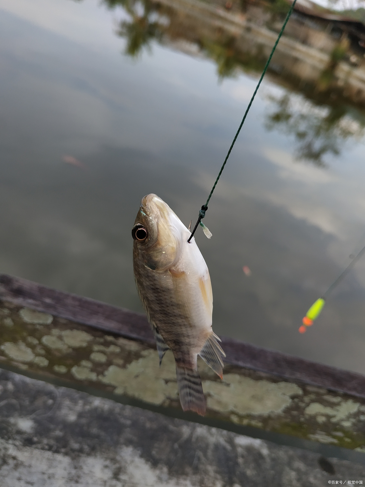 路亚威海鱼竿,威海海钓路亚鱼竿推荐