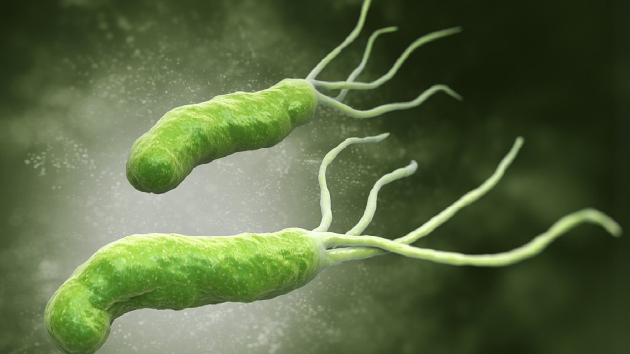 治疗幽门螺杆菌吃4种药太麻烦？医生：新疗法只用两种药