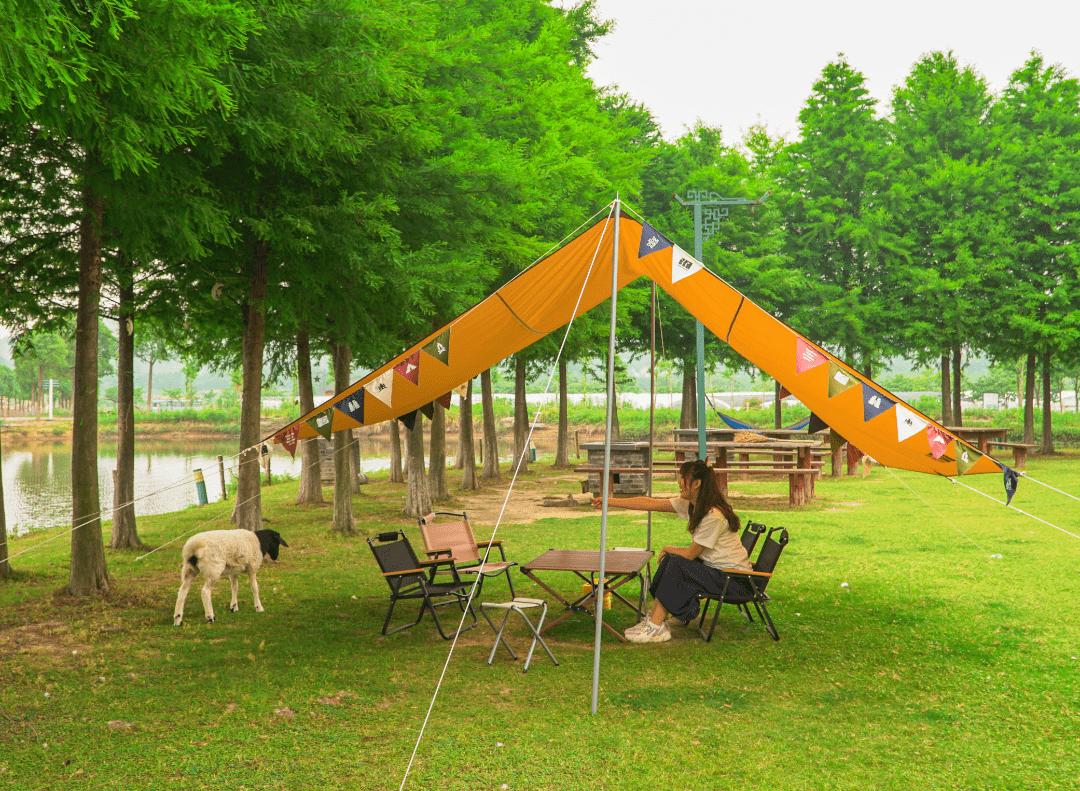 张家港农场网红打卡,周边农场网红打卡点创意