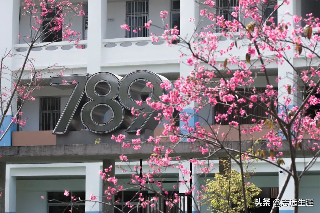 汕头大学校园直观图,汕头大学校园风景