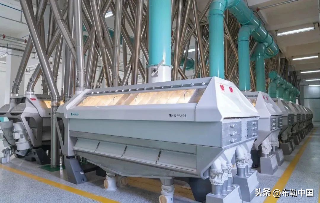 潍坊风筝面粉和香野面粉哪个好,潍坊风筝面粉最新消息