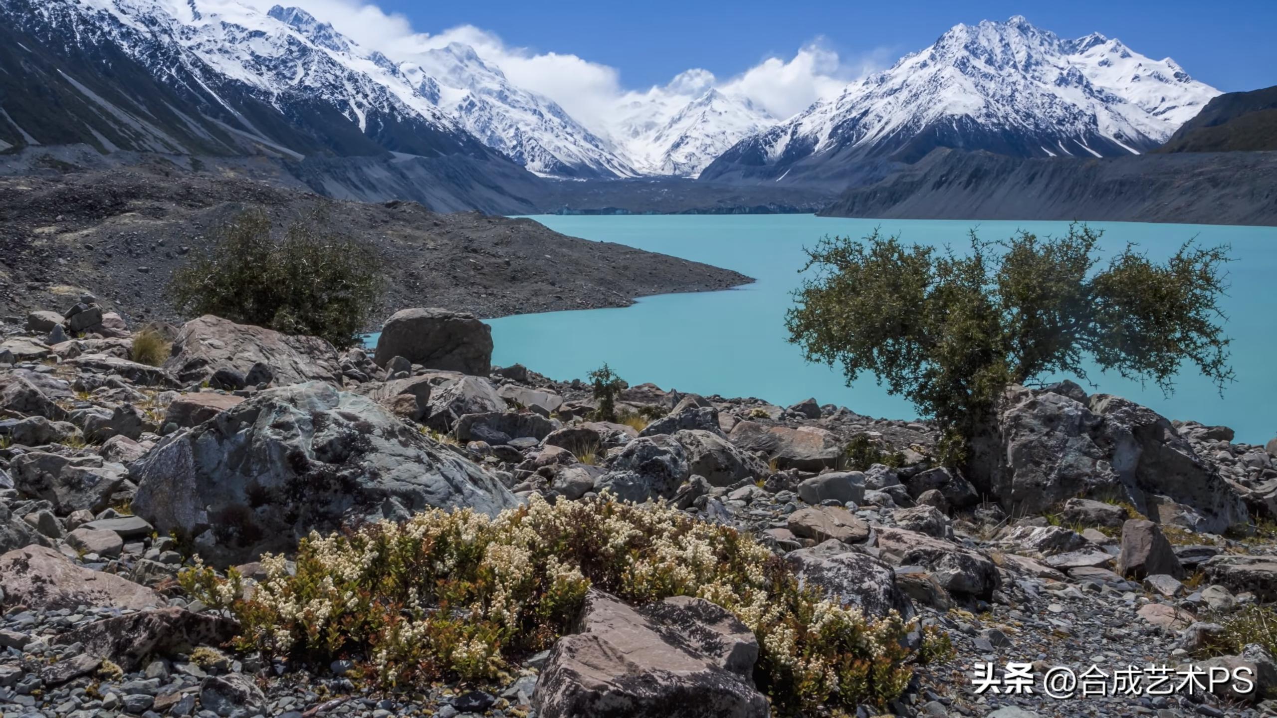 新西兰乡村风景,世界独一无二的新西兰景色