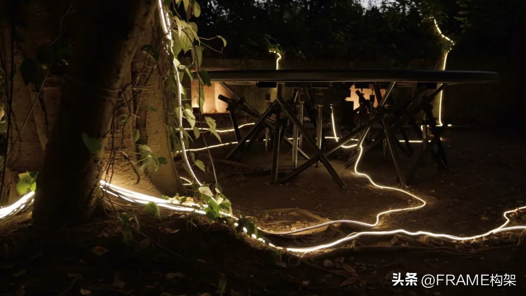 一周最受欢迎|Aesop多伦多体验店、哥伦比亚公寓、日本TreeSays