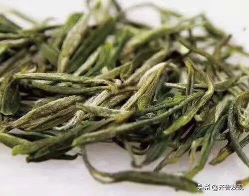 百县·百茶·百人|青岛市崂山区-崂山茶-匡新