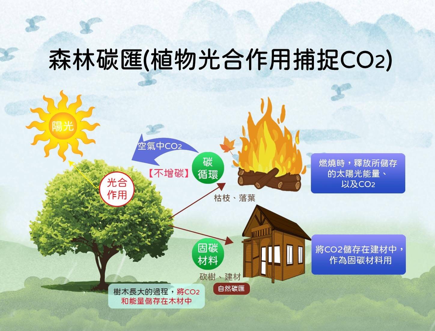 如果沙漠全部变成森林地球会怎样,如果沙漠都变成绿洲地球会怎么样