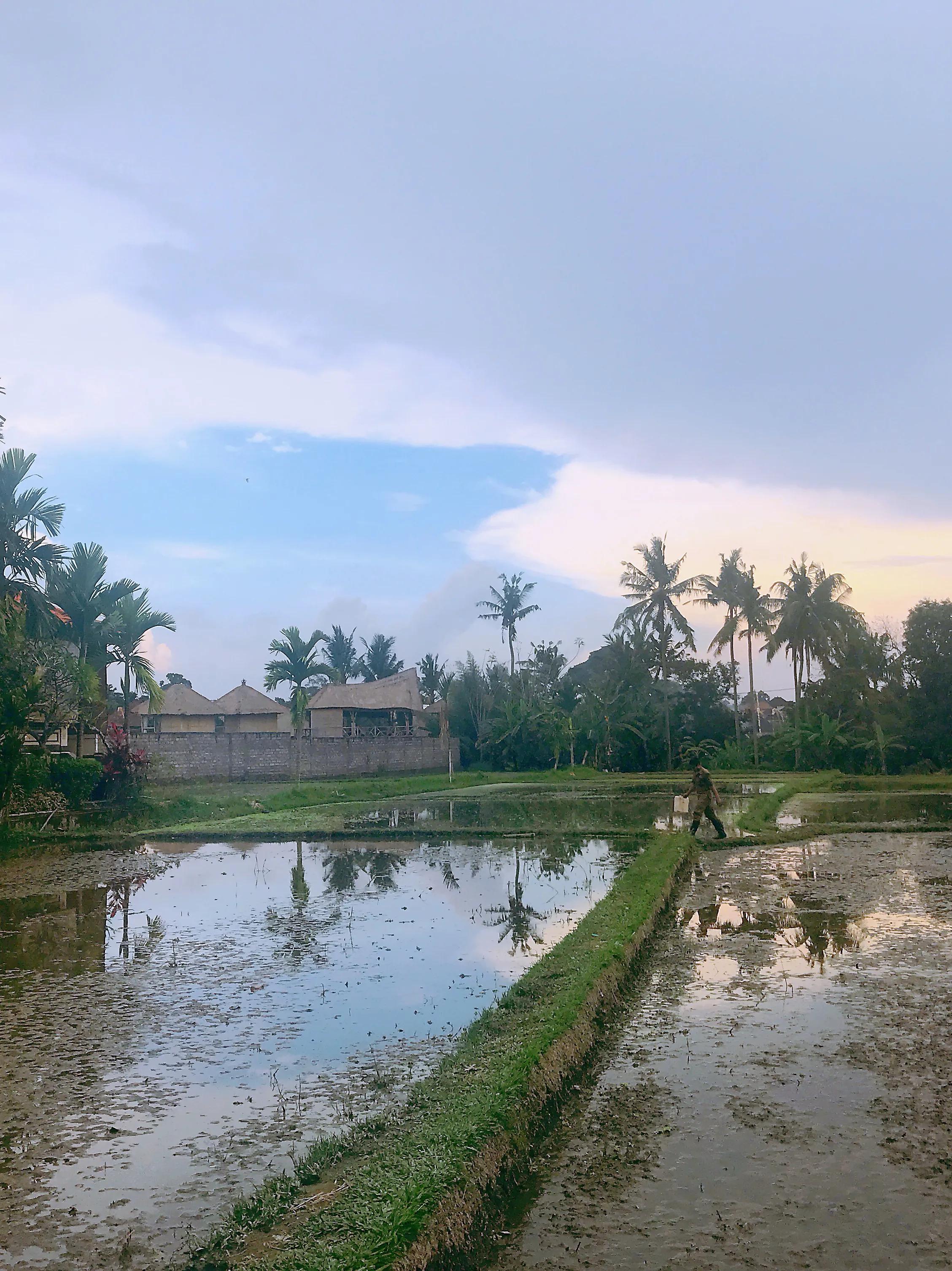 巴厘岛吸引游客的自然风光,巴厘岛什么好玩刺激