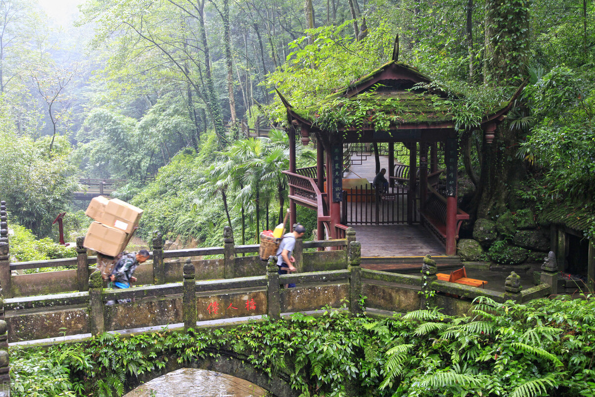 中国十大佛教名山排名图片,四大佛教名山哪个人气最大