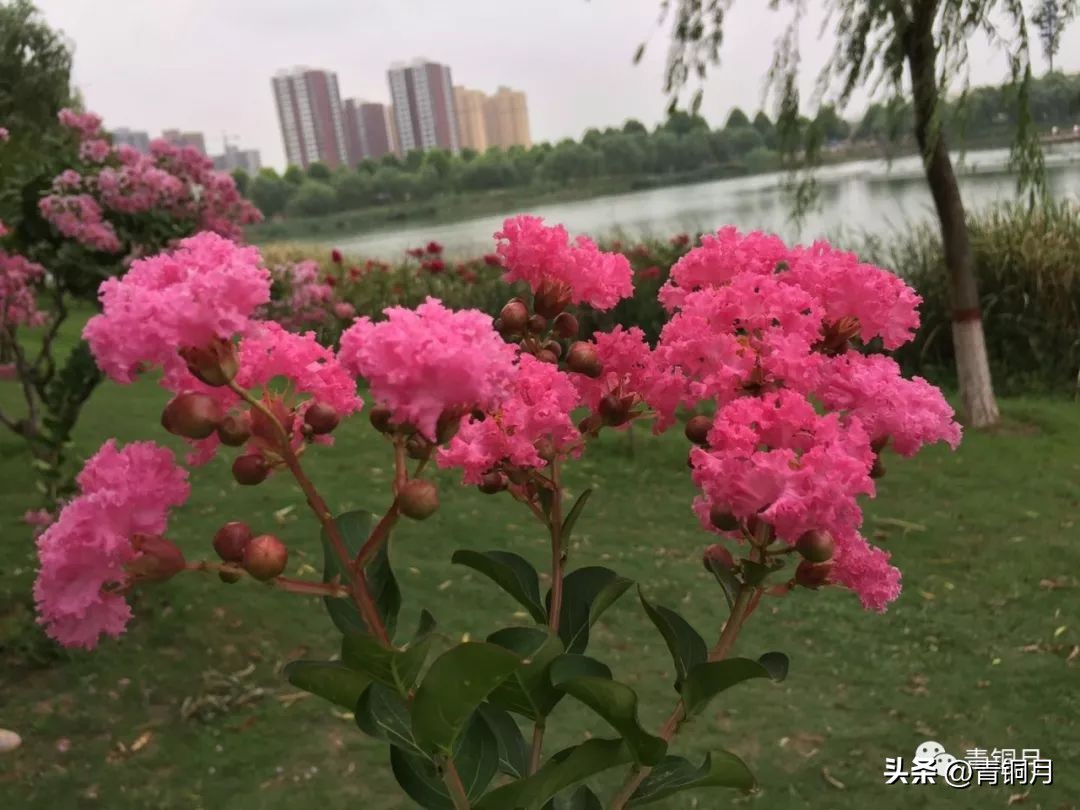写雪惊艳的诗词,唐宋关于写雪的诗词