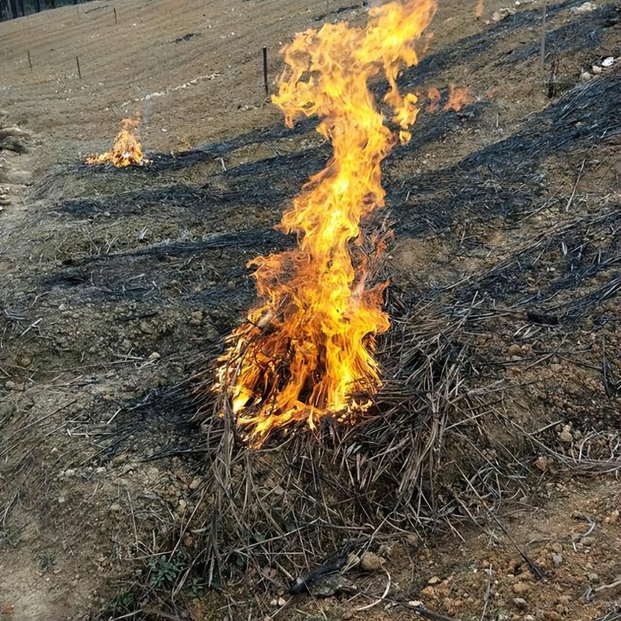 穿越古代制造细盐的具体过程,穿越古代怎么制造冰