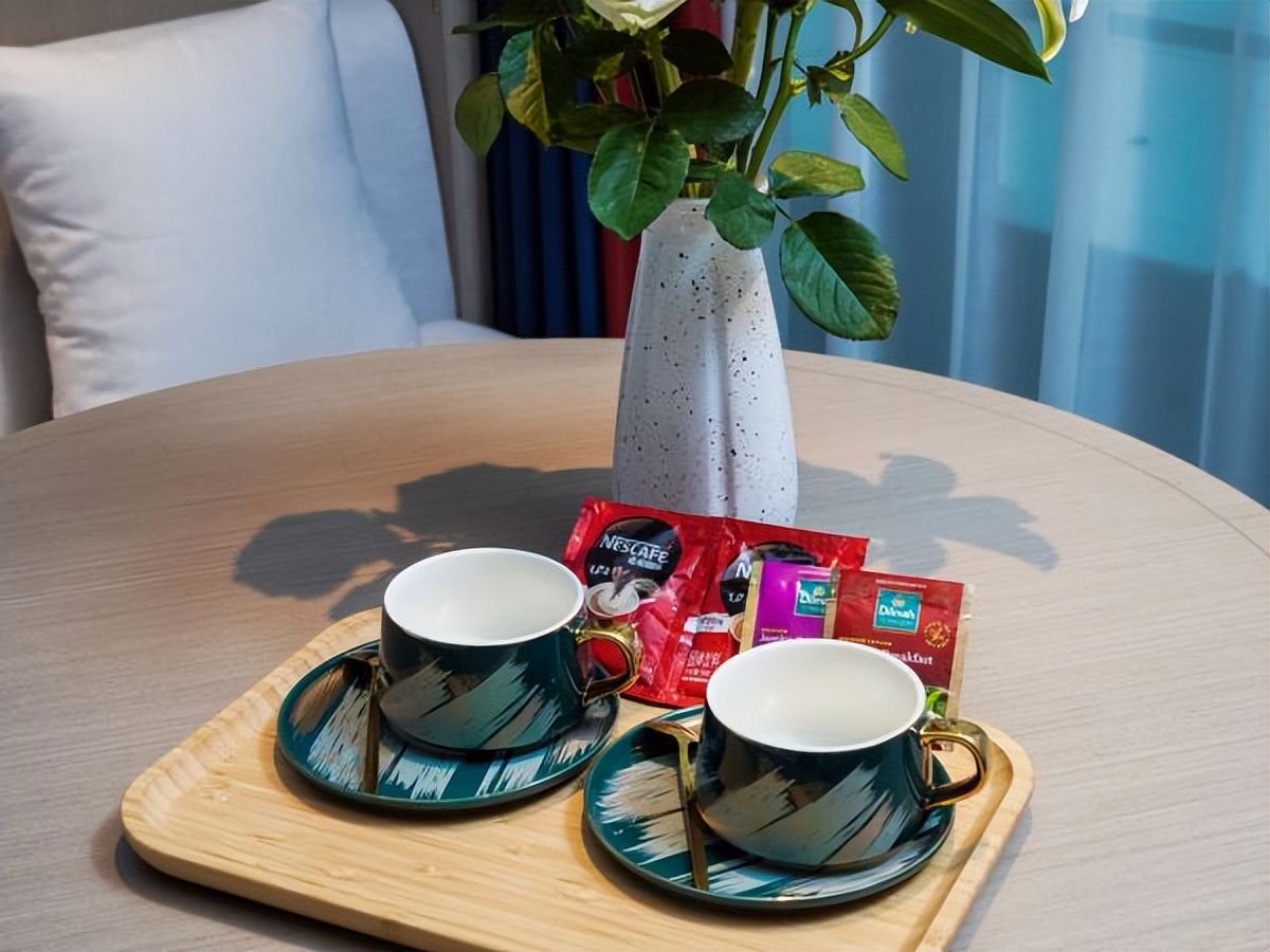 凉山州未来酒店推荐,会东美豪丽致酒店算几星级