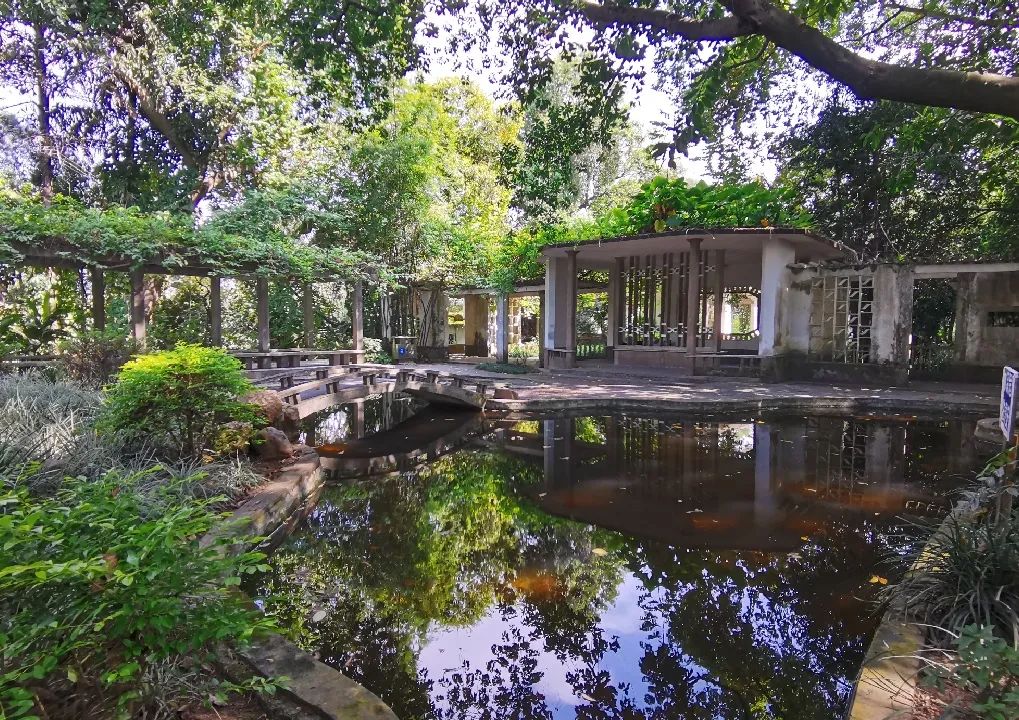 广西文旅旅游线路,广西十大精品旅游线路推荐