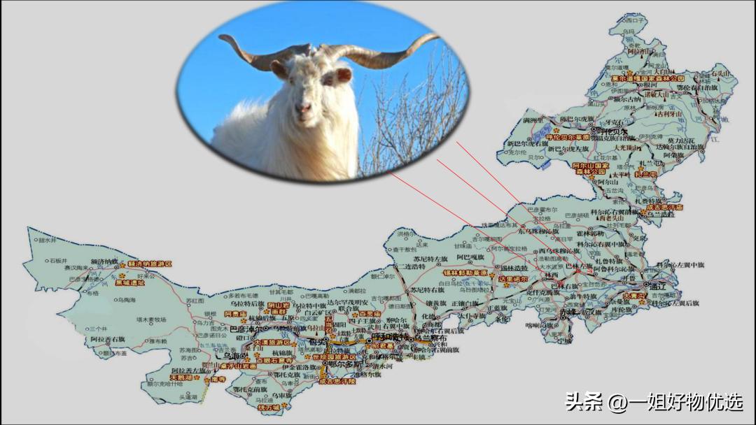 女式围巾哪个牌子好？速速收藏！【独家】