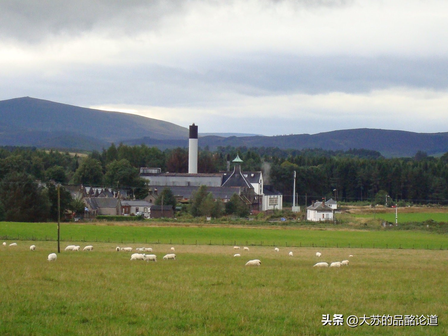 苏格兰威士忌各产区代表酒厂,苏格兰威士忌高地产区有多少酒厂