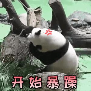 科研论坛完整版,科研论坛是什么