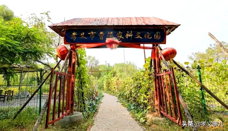 山西孝义：三伏天热成狗？孝义本地最全避暑指南来了，快快收藏