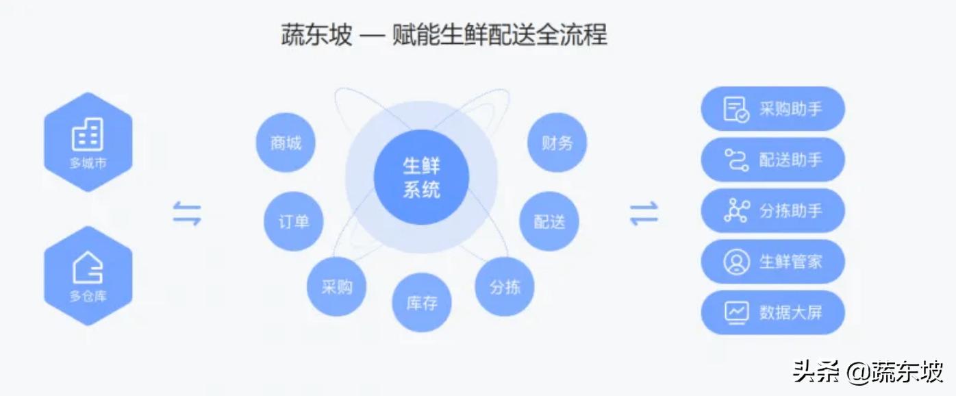 蔬东坡生鲜系统怎么样,如何注册蔬东坡