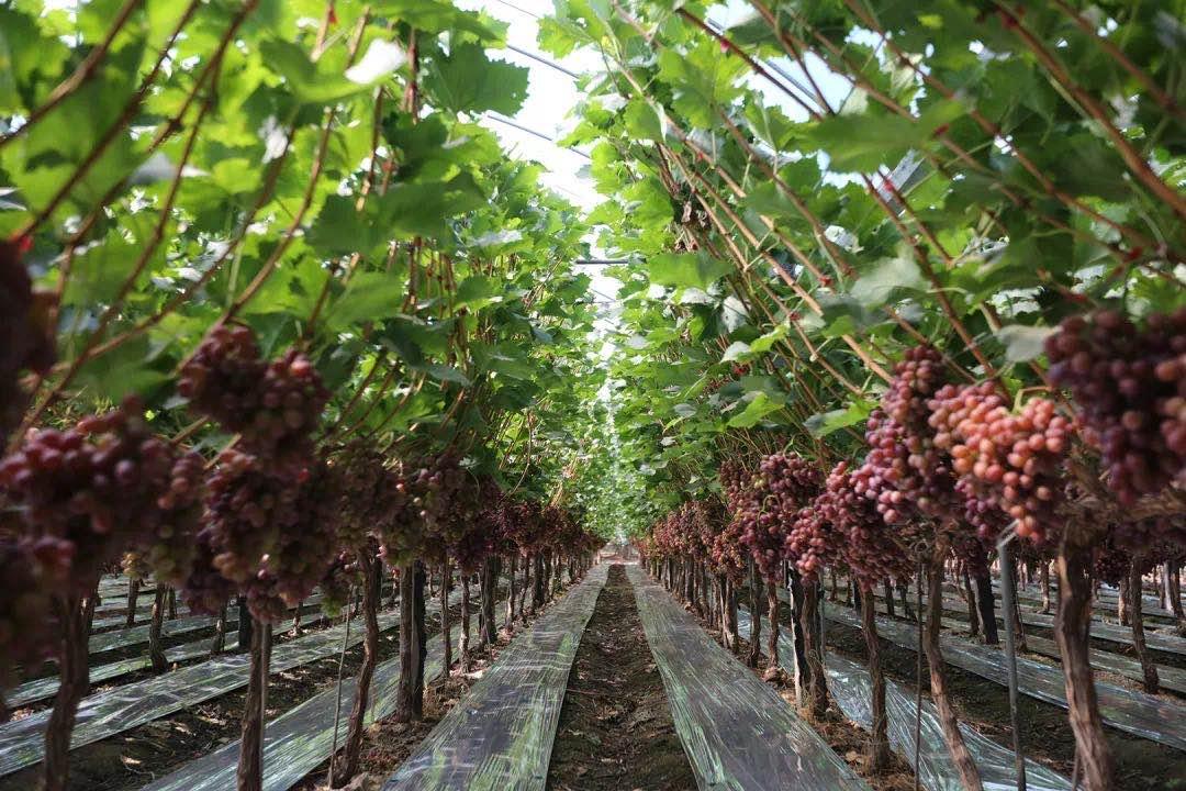 西昌旅游吃住攻略大全最新,11月西昌旅游必备物品