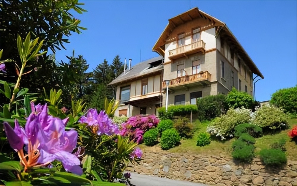 烫手山芋成了市场香饽饽，年轻人为啥如此钟情斐乐？