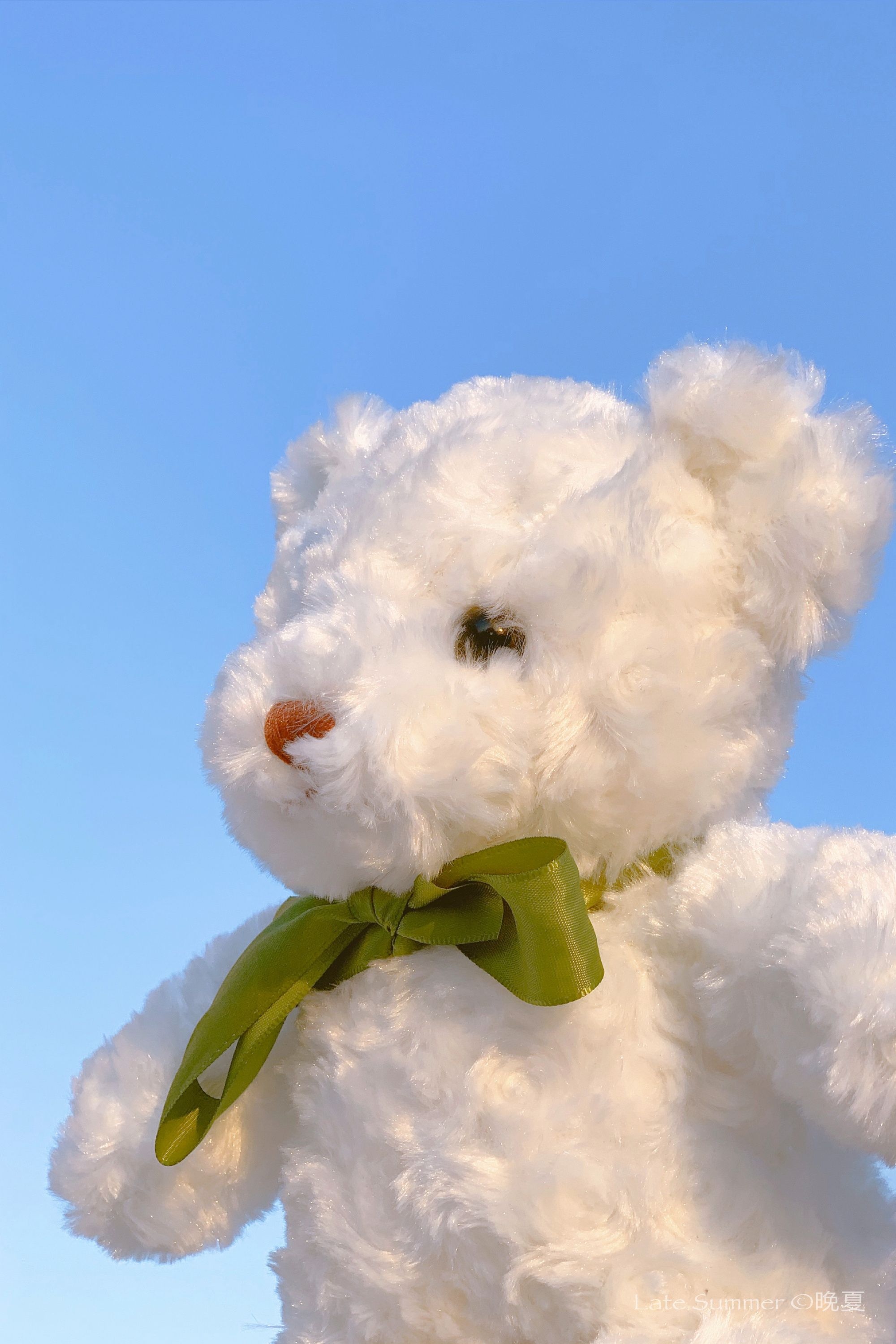 朋友圈最养眼的高级感文案,文艺优美的朋友圈文案简短