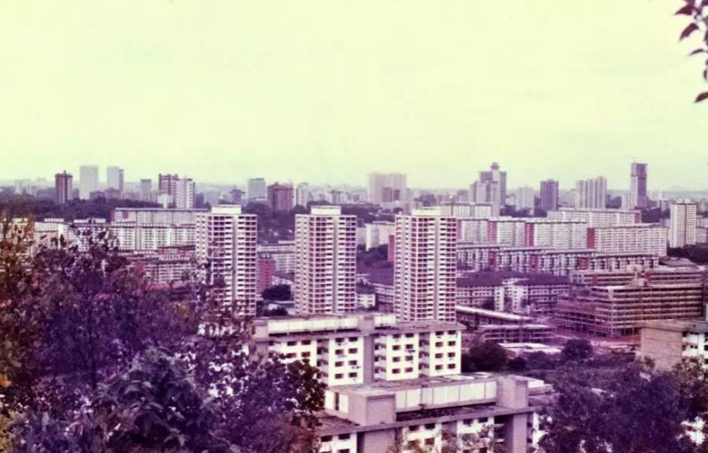 78年，*小平邓**访问新加坡，李光耀问他：如果你出生在新加坡会怎样