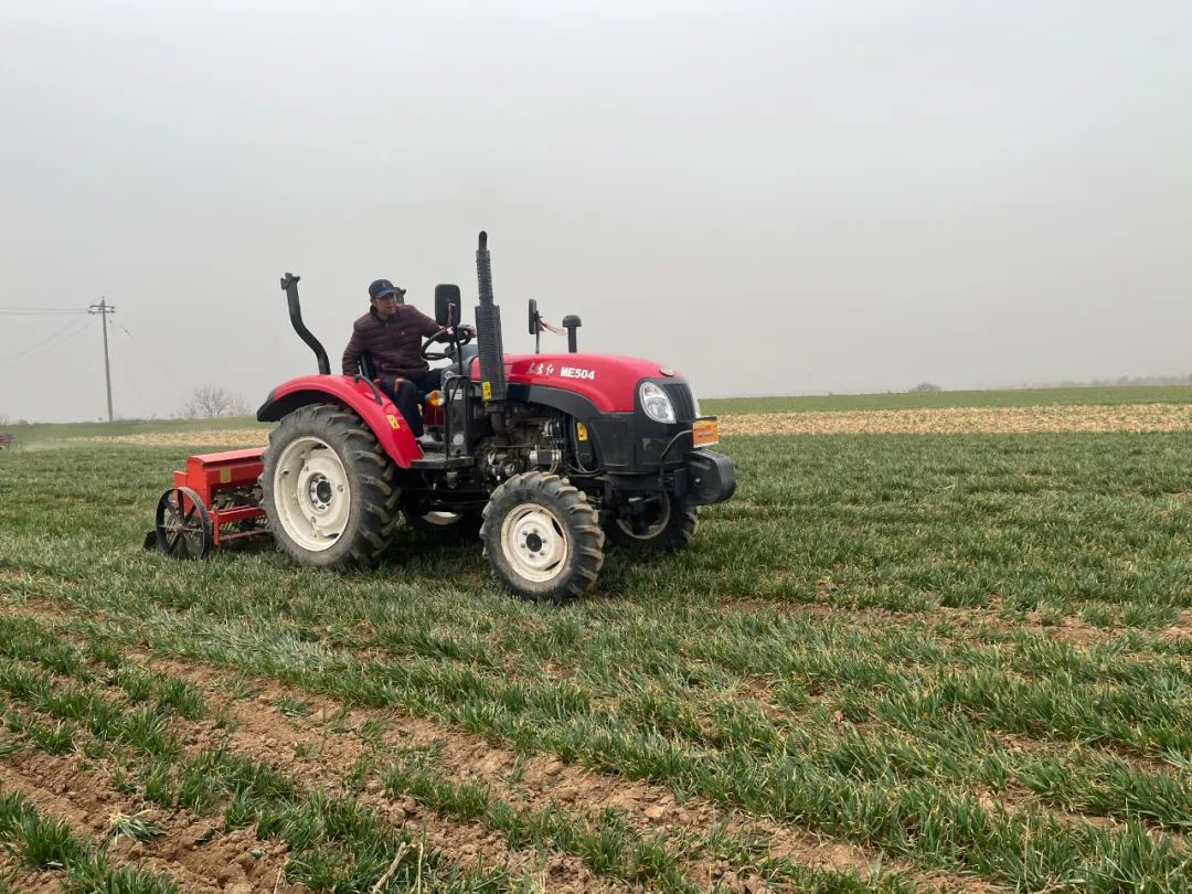 冀鲁豫皖陕五省部分小麦主产县春管探行