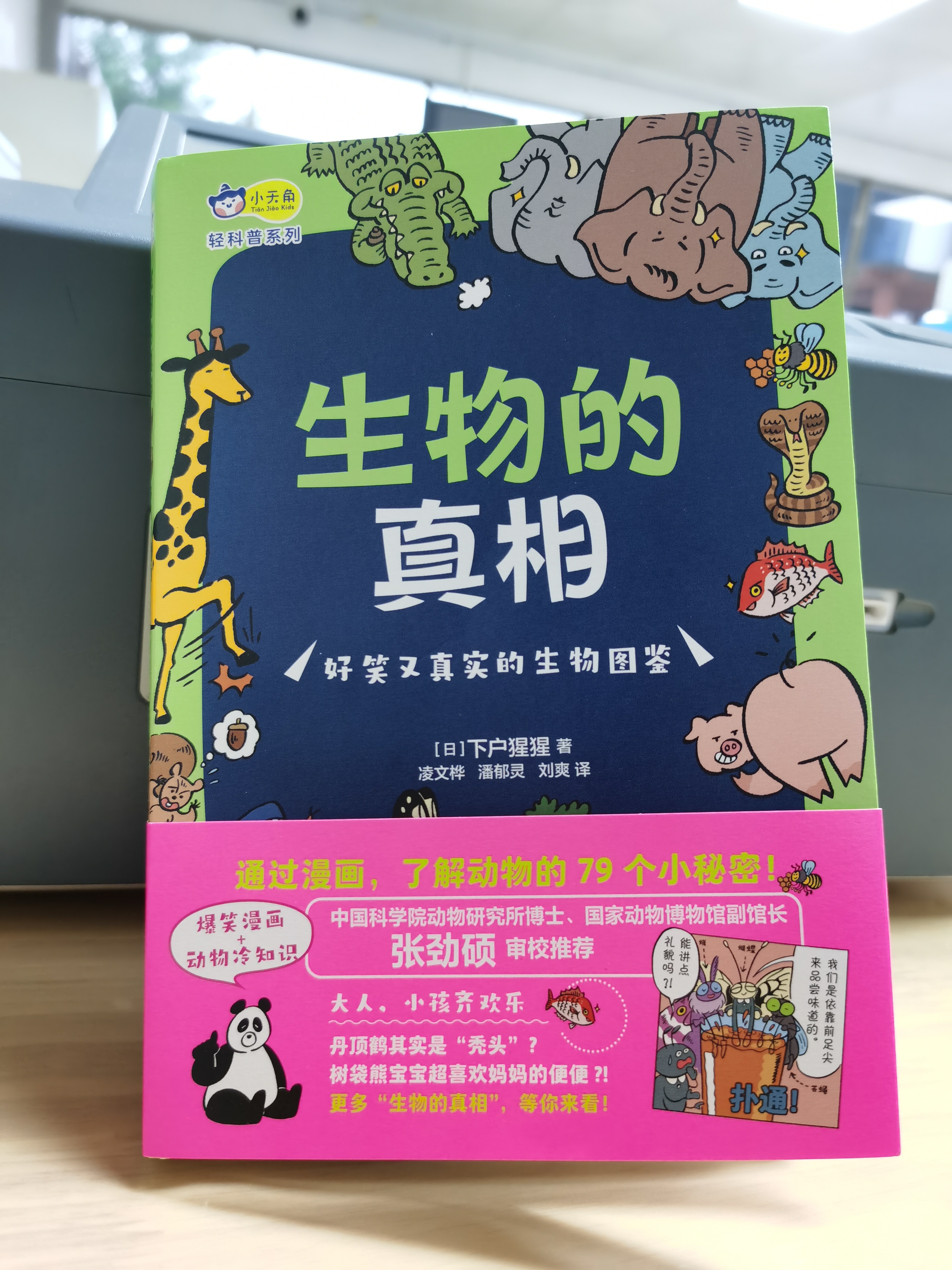 熊猫有几条腿是四条还是两条,你知道熊猫有几根脊椎骨吗