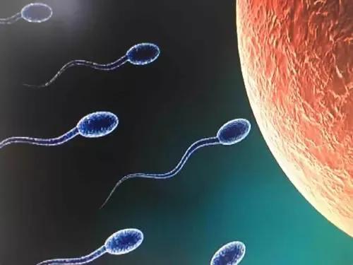 慢性前列腺炎引起不育能治疗吗,慢性前列腺炎男性不育