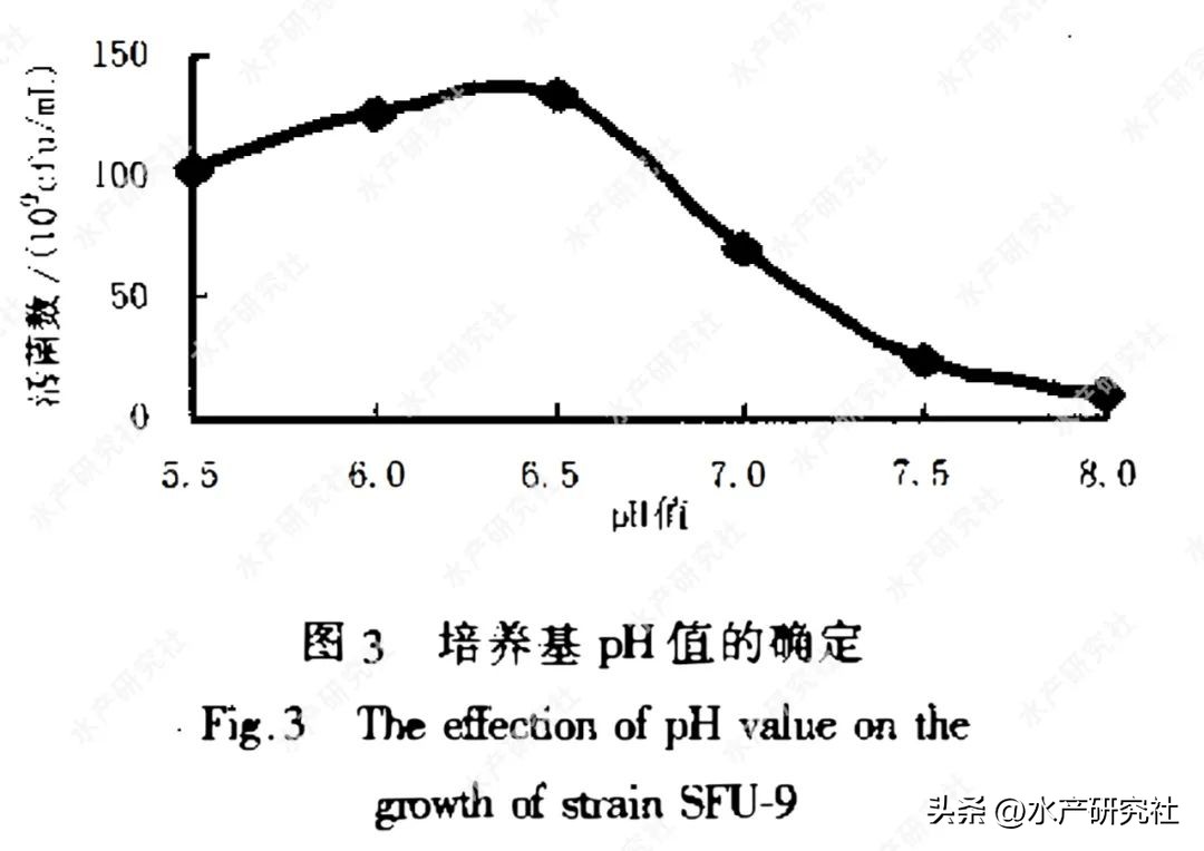 发酵芽孢杆菌需要多少温度,芽孢杆菌最佳发酵是开口还是封口