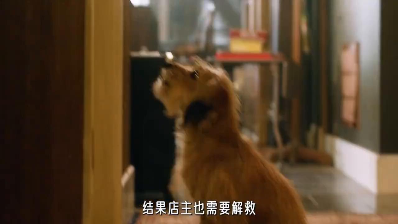 神探狗笨吉剪辑,神探狗笨吉