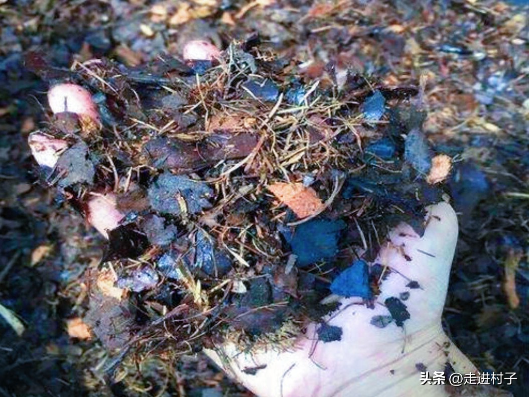 农村人自制高级营养土最简单,怎么低成本自制营养土