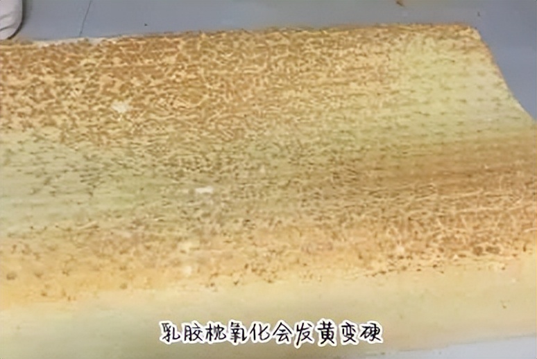 邓禄普乳胶枕前十名排行榜,乳胶枕十大名牌