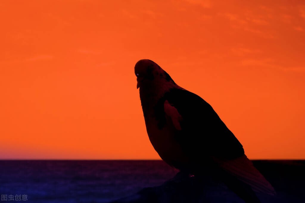 冒充中通快递员加qq是什么骗局,中通快递加qq是什么套路