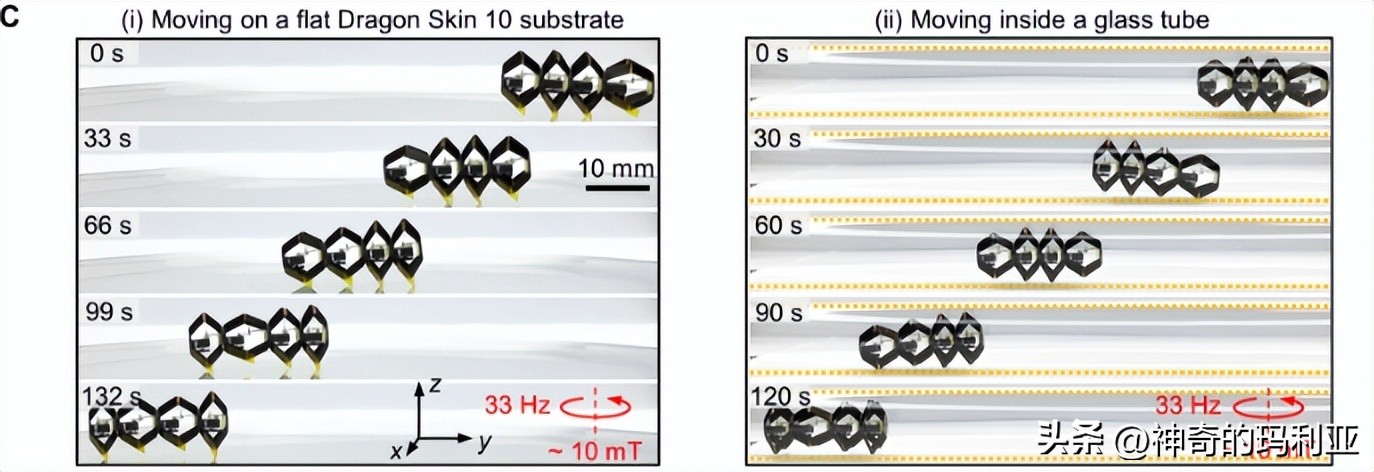 用于无线控制毫米级机器人的磁致动齿轮箱，其究竟有何作用
