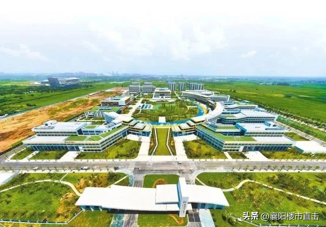 欢欣鼓舞感慨万千,心潮澎湃幸福满溢