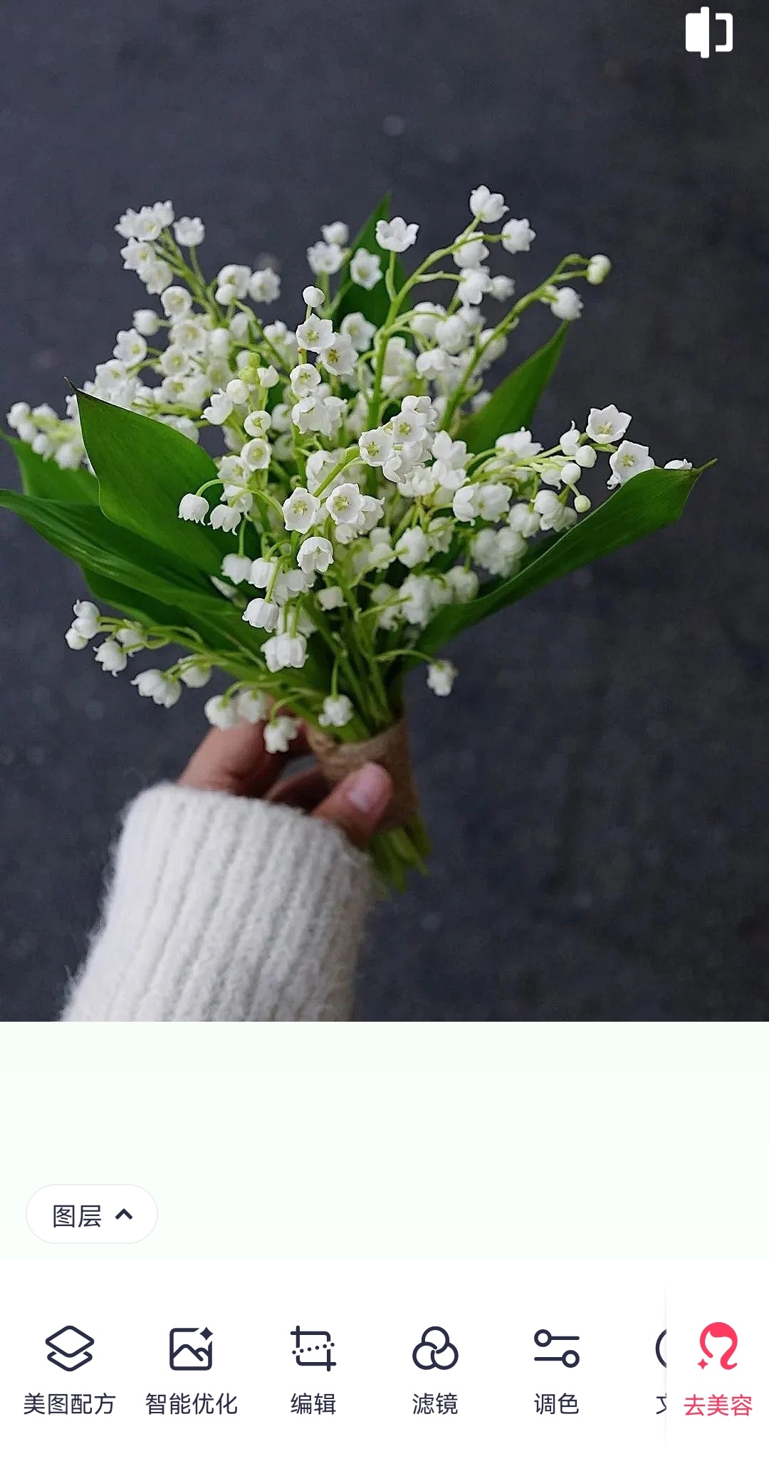 有哪些学花艺的app,花艺插花自学网站app