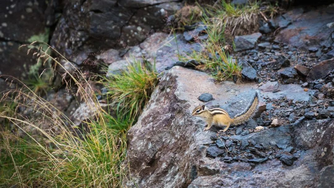 国内夏季避暑胜地哪里好吃,夏季凉快又有美食的地方