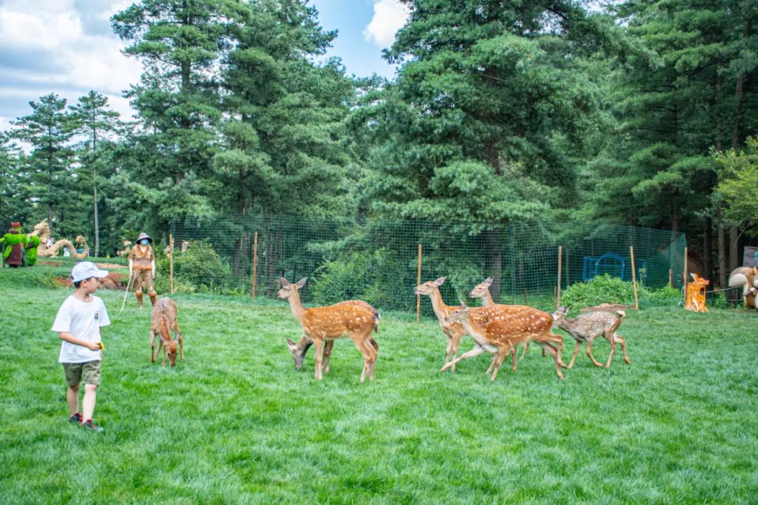 昆明五一露营建议去哪玩,昆明周边郊游露营