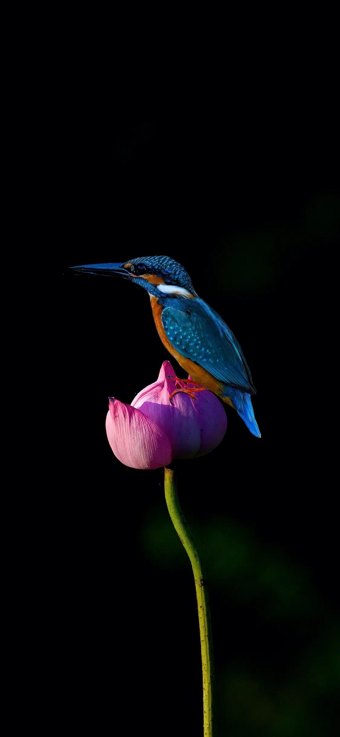 深色好看壁纸男生专用,男士深色手机壁纸高清