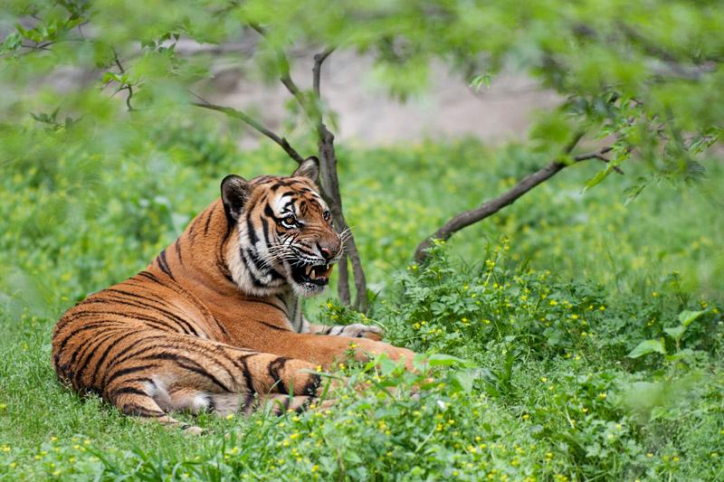 华中华北华南华东怎么区分,华中和华南对比