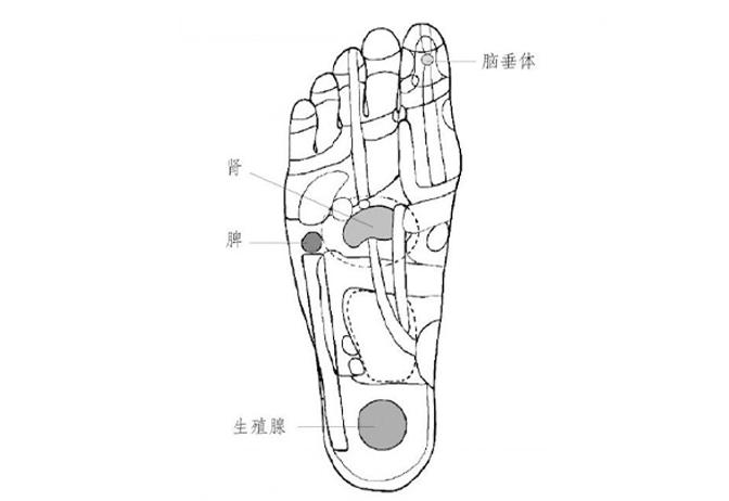 献给妈妈们的干货——孩子长高中医绝技