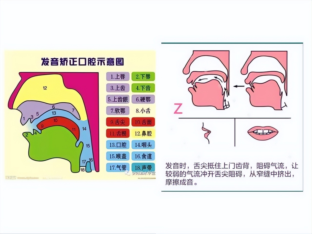 平翘舌音基本功练习,平翘舌音的练习视频