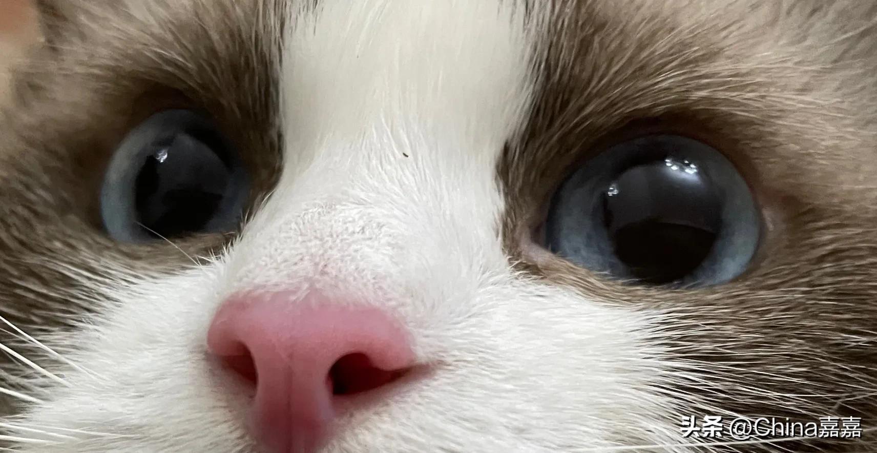 这个才能治愈你的不开心