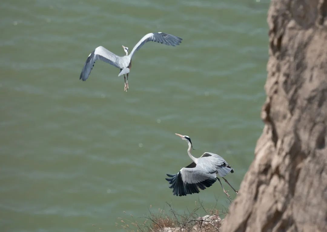 迎接党的20大美术作品,喜迎二十大乡村摄影展