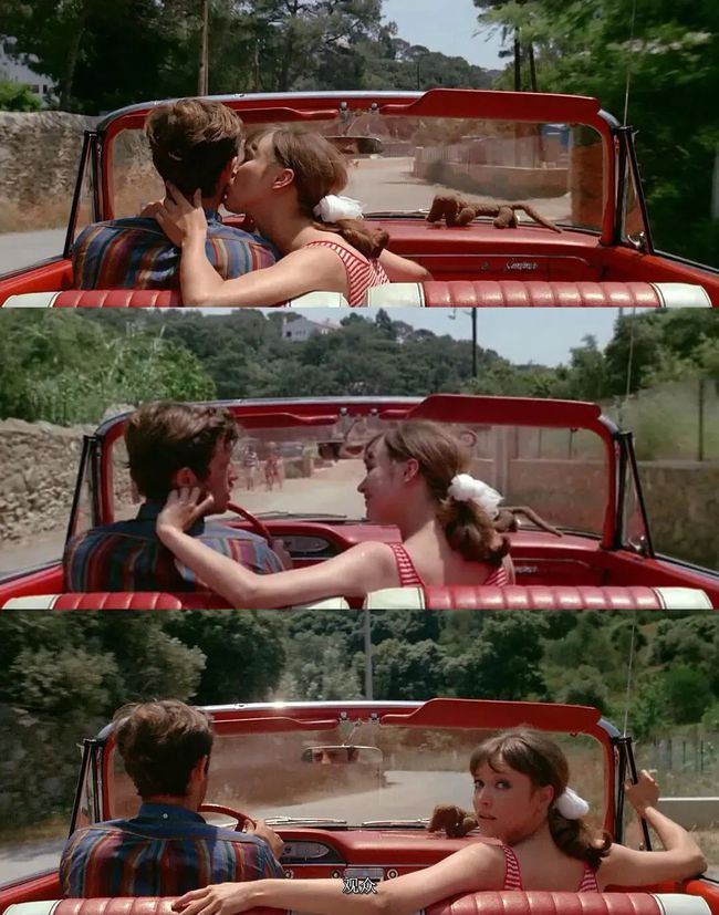 末路狂花：女性反抗与自我解放的社会批判与文化反思