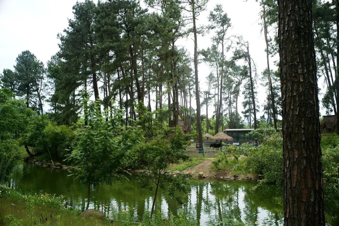 浙江市区度假酒店推荐,浙江轻奢酒店值得推荐