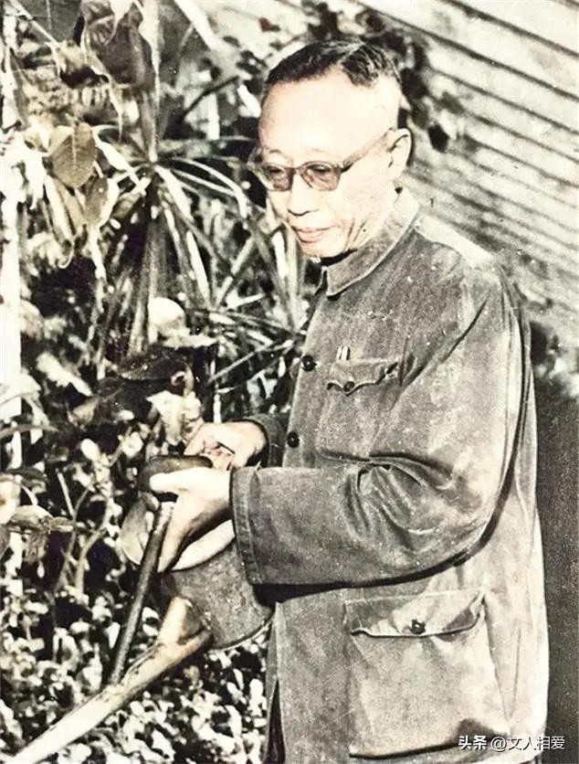 溥仪下井冈山视频,溥仪访日诗