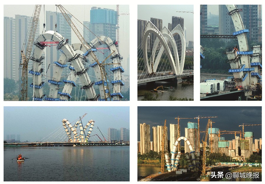 水务杯摄影作品,水务杯冠军